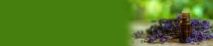 Aromatherapie Jugendlichkeit